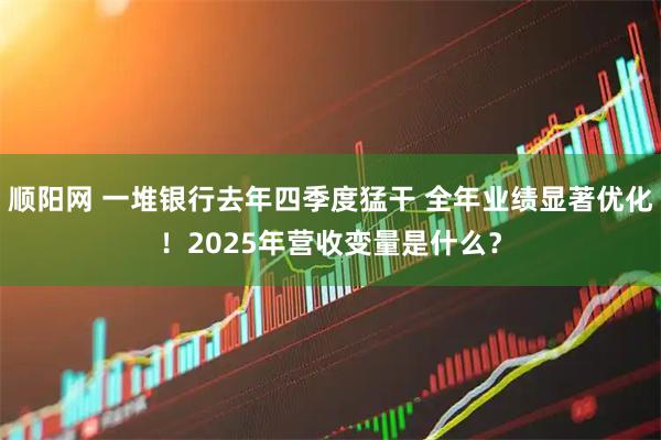 顺阳网 一堆银行去年四季度猛干 全年业绩显著优化！2025年营收变量是什么？